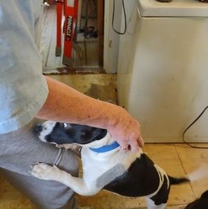 Meet your Posher, Renee